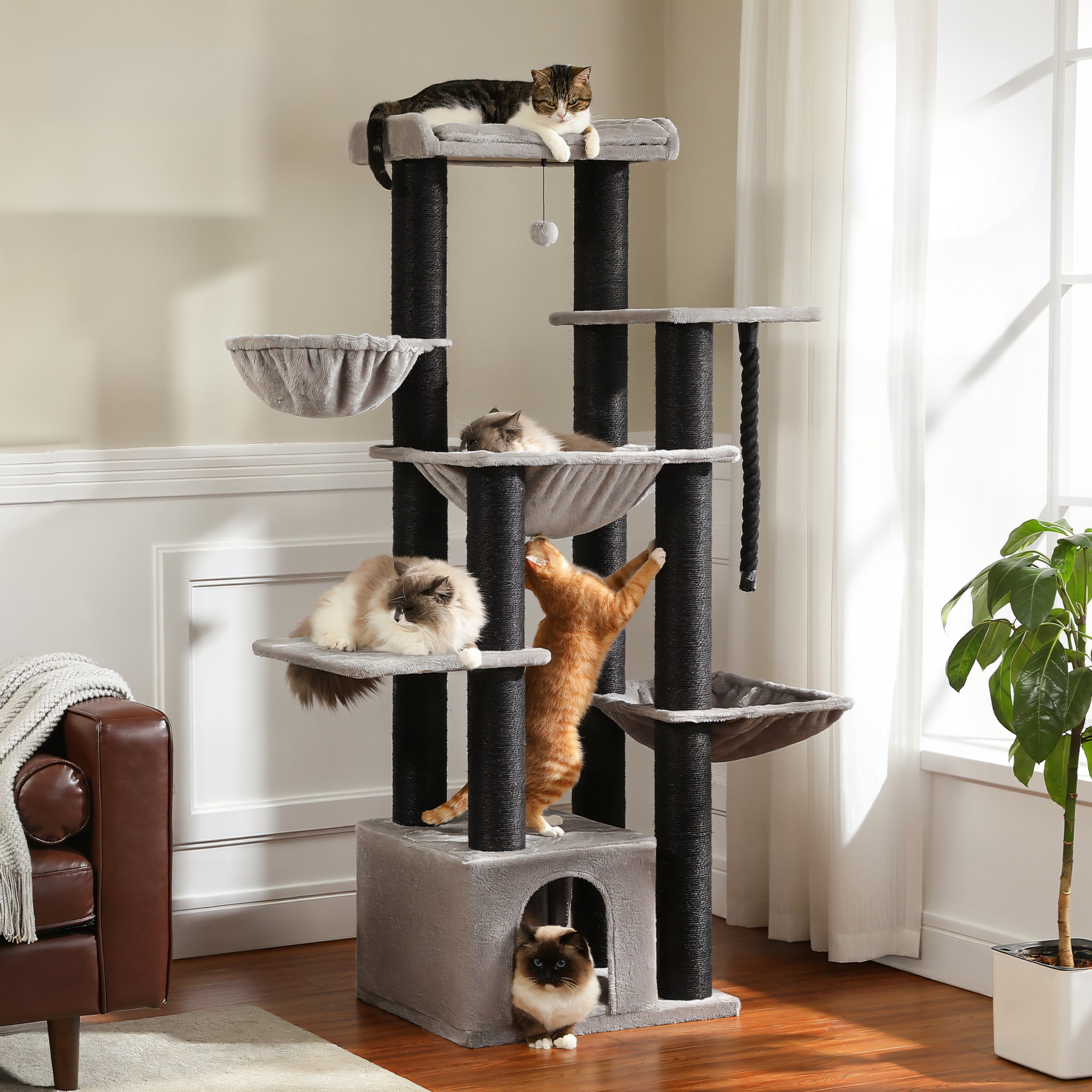 Cat tree for maine coon Image