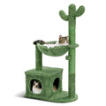 Arbre à Chat Cactus Vert