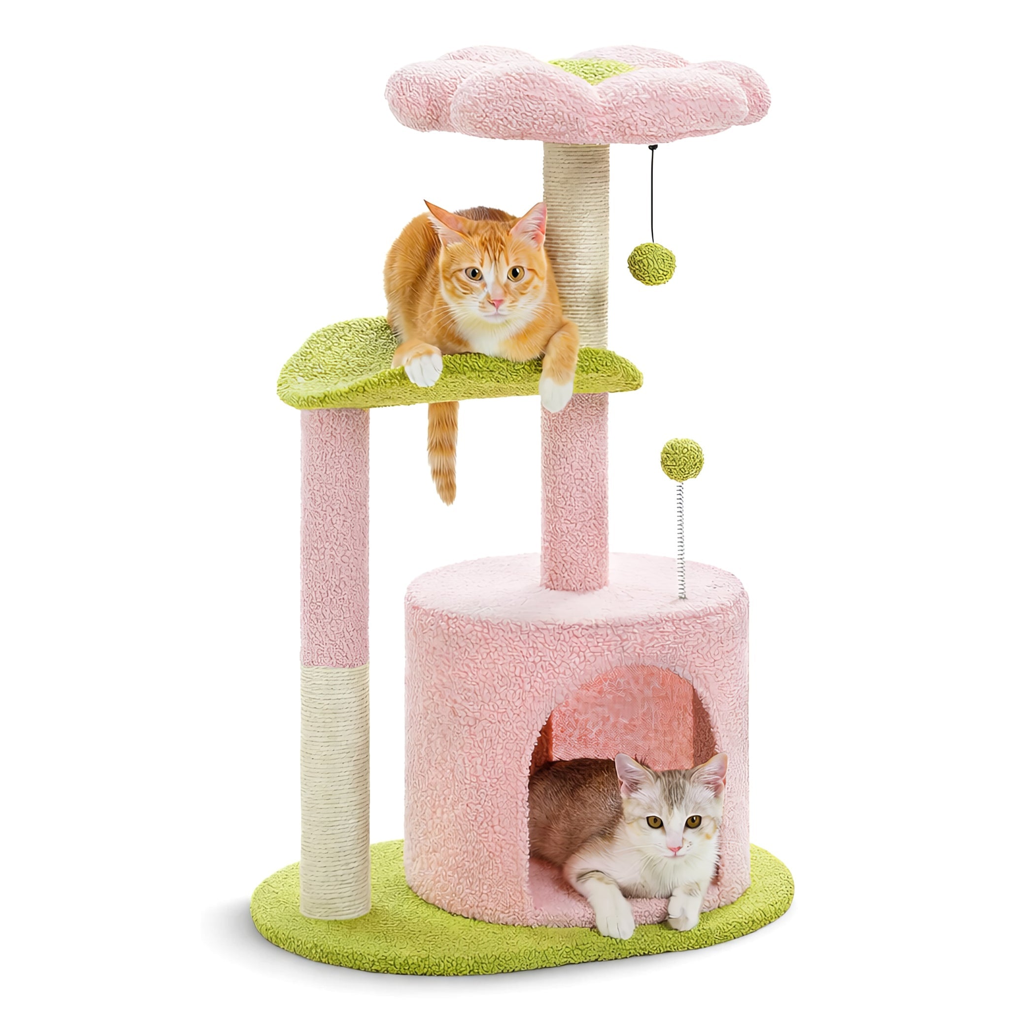 Arbre à Chat Fleuri