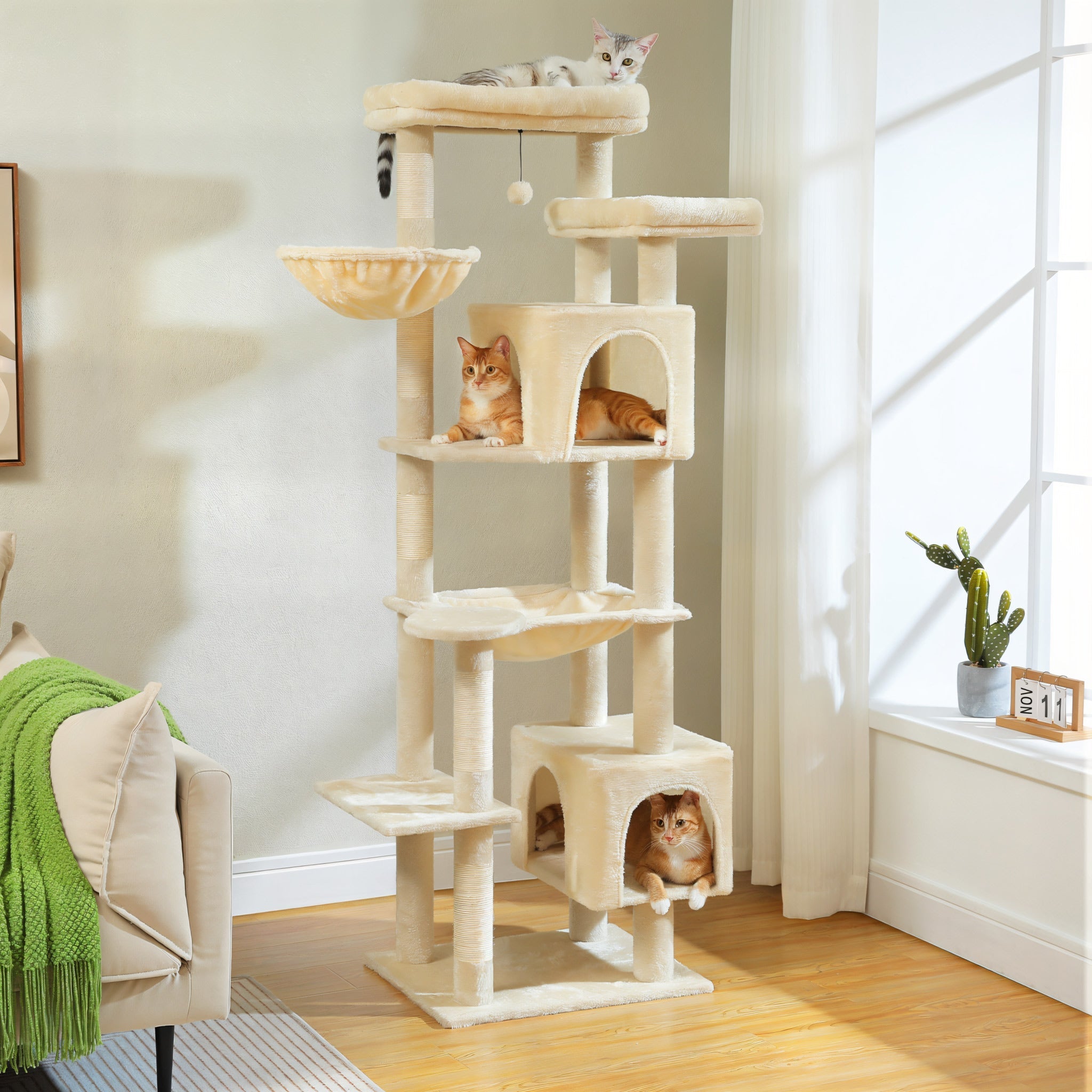 Arbre à Chat Taille XXL