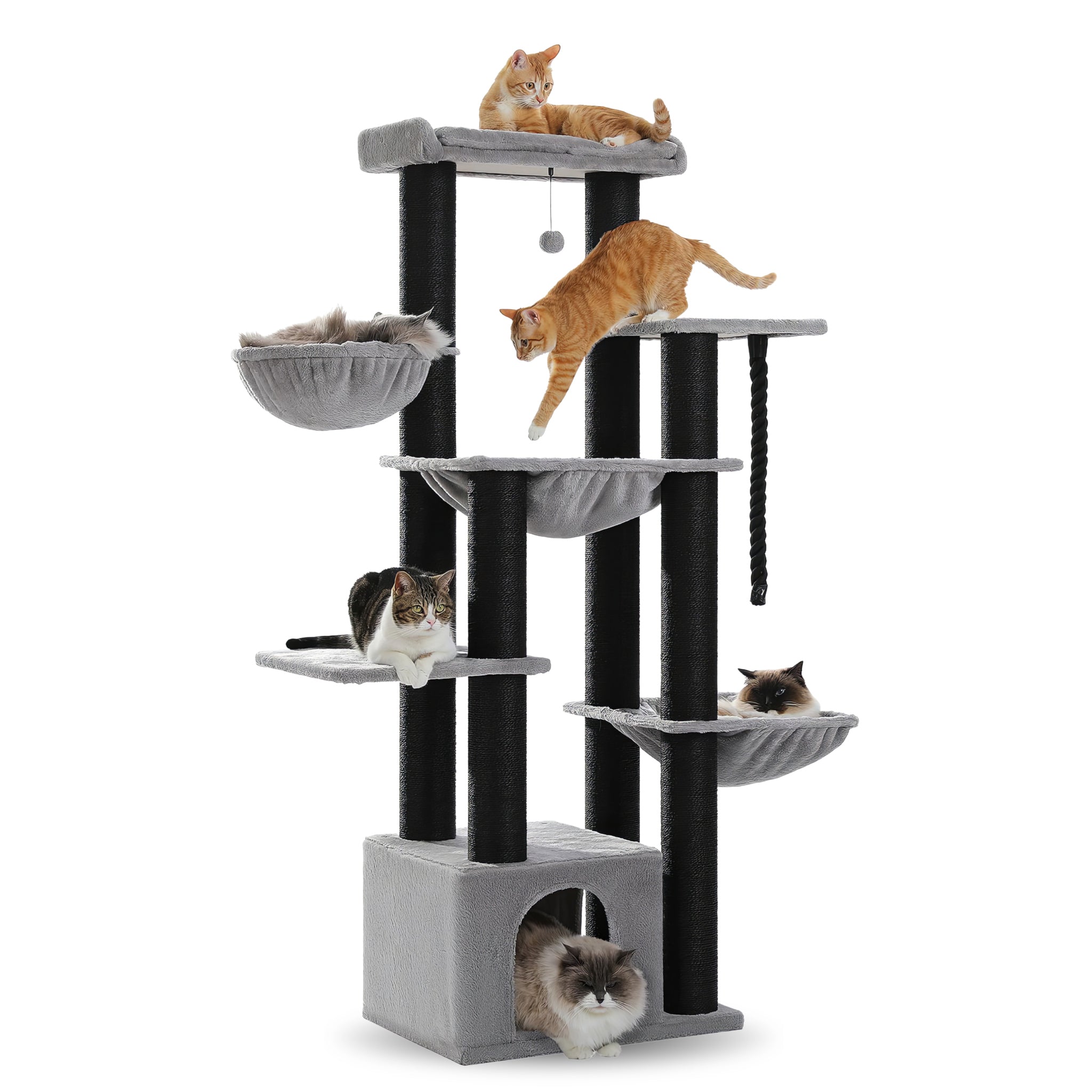 Arbre à Chat XXL pour Maine Coon