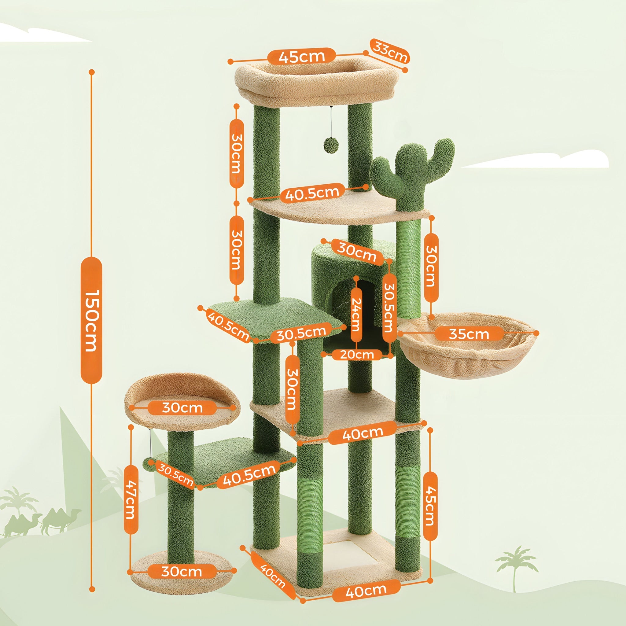 Grand Arbre à Chat Cactus