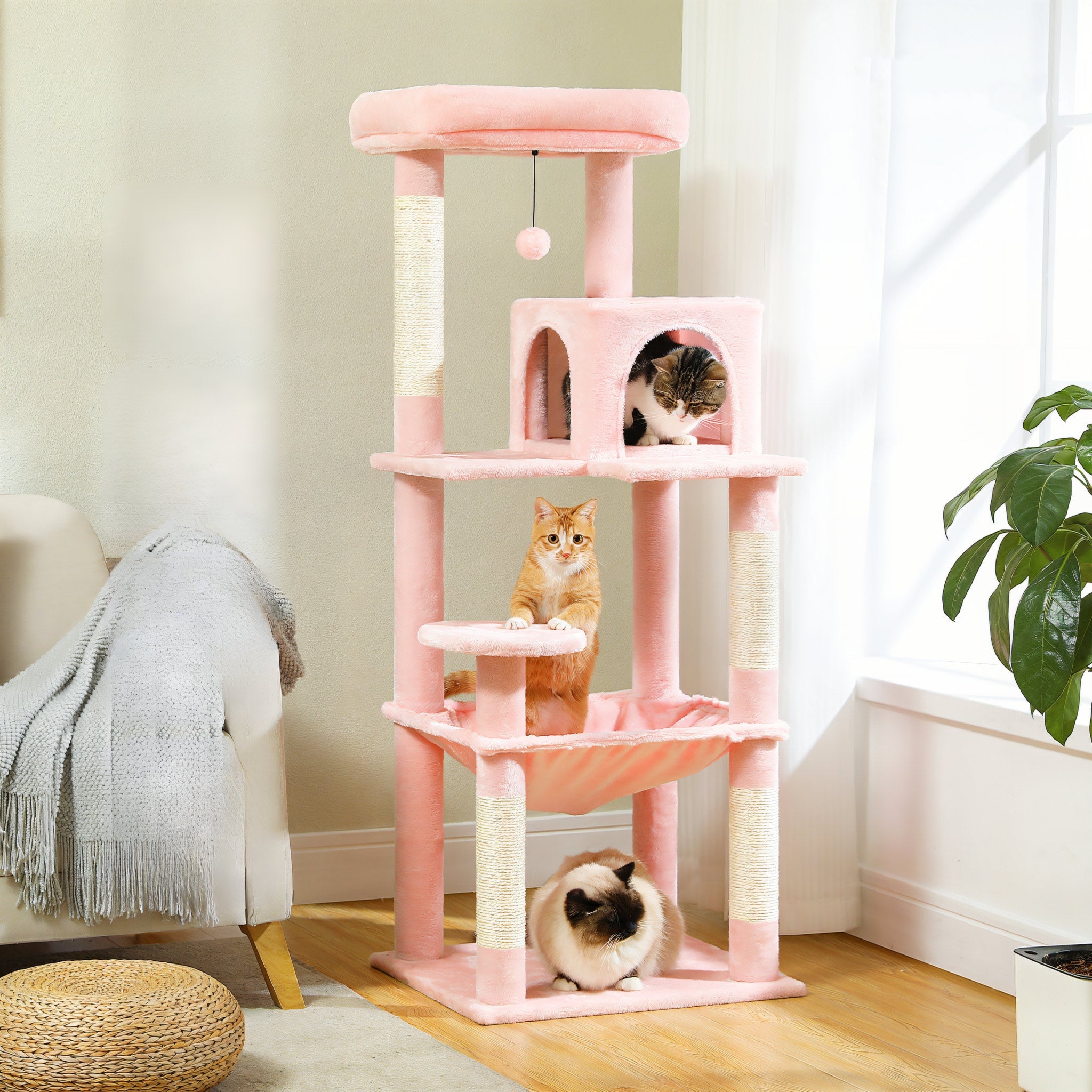 Grand Arbre à Chat Simple