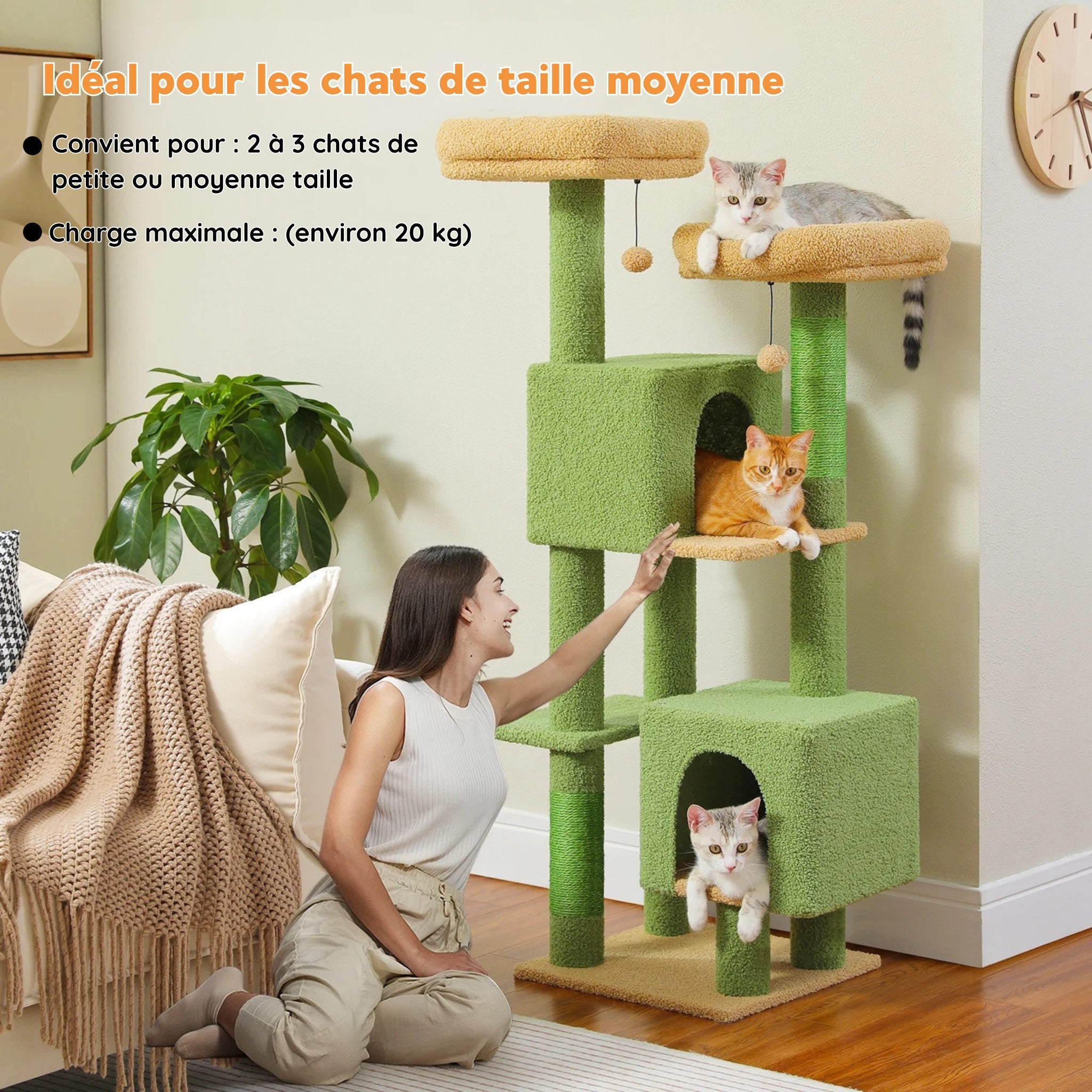 Grand Arbre à Chat Solide et Stable