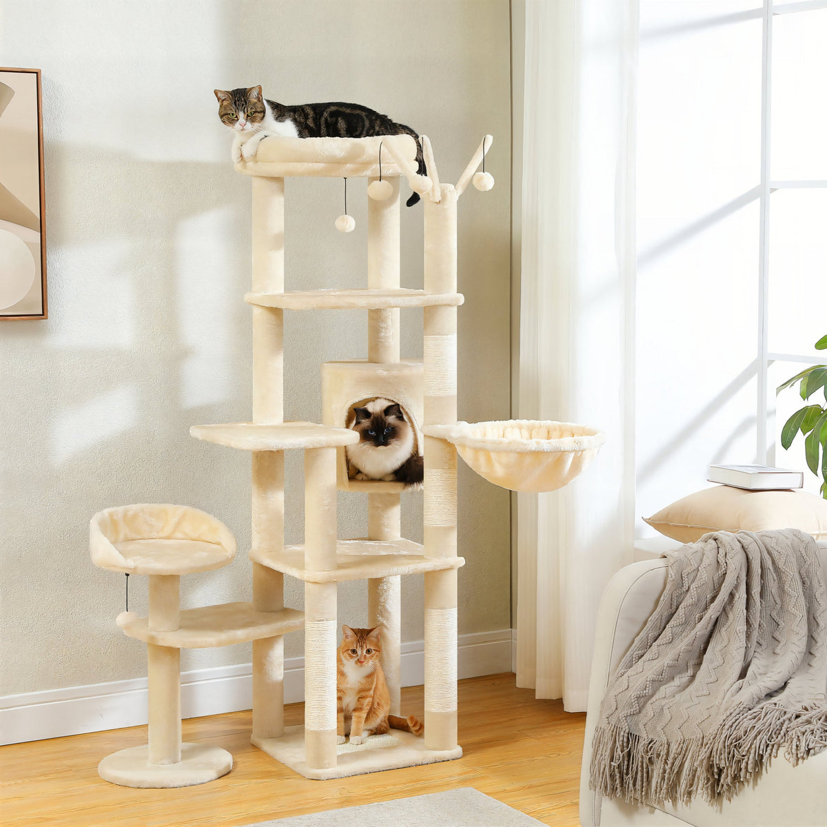 Large Cat Tree for Large Cats Cat & Cosy