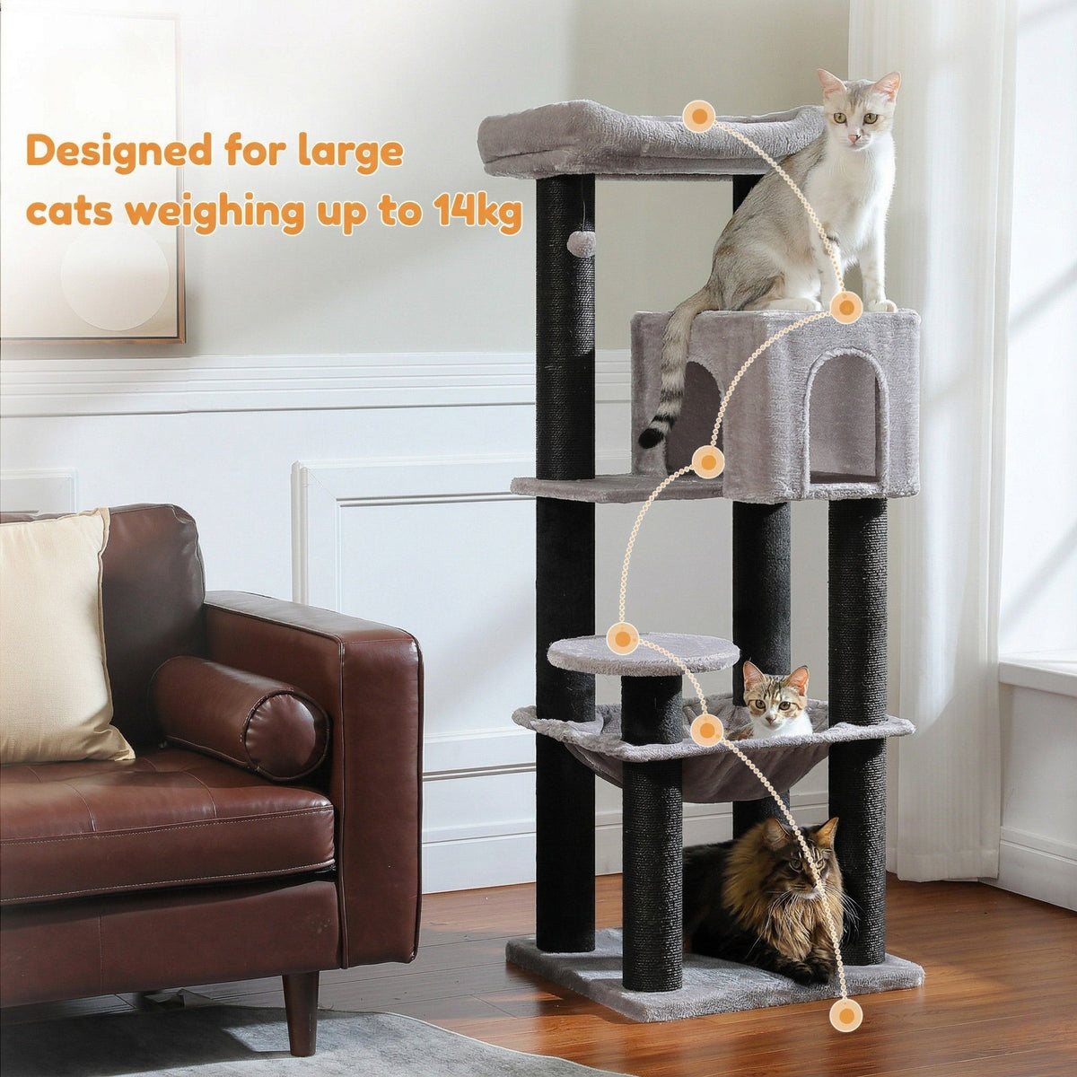 Large Durable Cat Tree Cat & Cosy