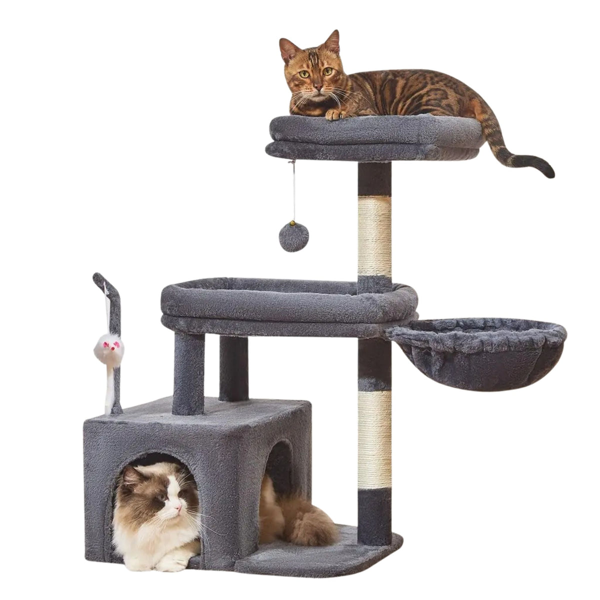 Small Cat Tree with Hammock Cat & Cosy